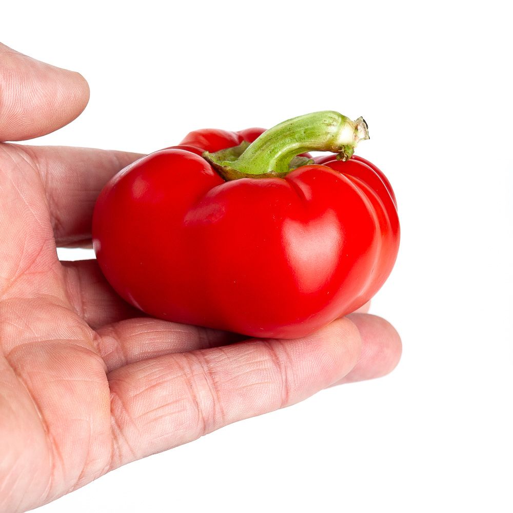 Paprika, Alma, Round Heritage Abound